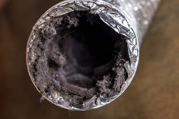 Best Professional Duct Cleaning Services  in Lenoir, NC