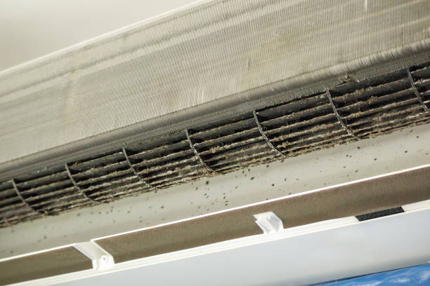 Best Professional Duct Cleaning Services  in Lenoir, NC