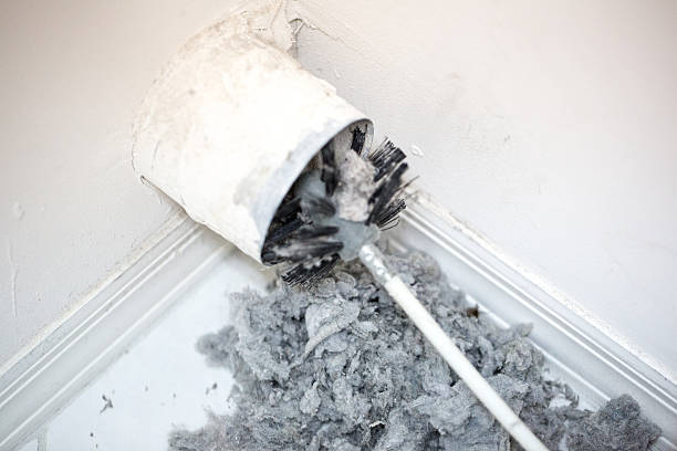 Air Duct Mold Removal in NC